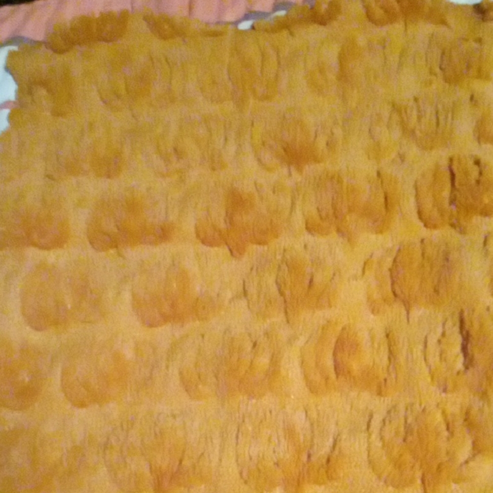 Pumpkin Pillow Case Brown Amazon Brand Good Condition